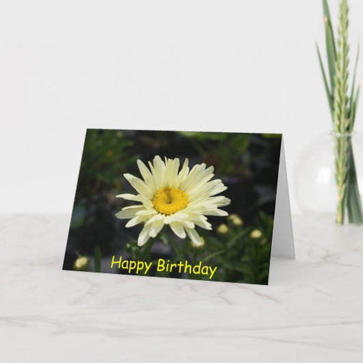 Bleek Yellow Daisy, Happy Birthday Kaart (Voorkant)