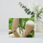 Bleekende antis die omslaan briefkaart (Staand voorkant)