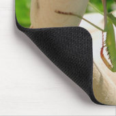 Bleekende antis die omslaan muismat (Hoek)