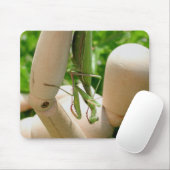 Bleekende antis die omslaan muismat (Met muis)