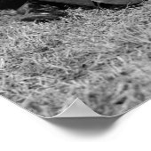 Bleeker Seats: 1925 Poster (Hoek)