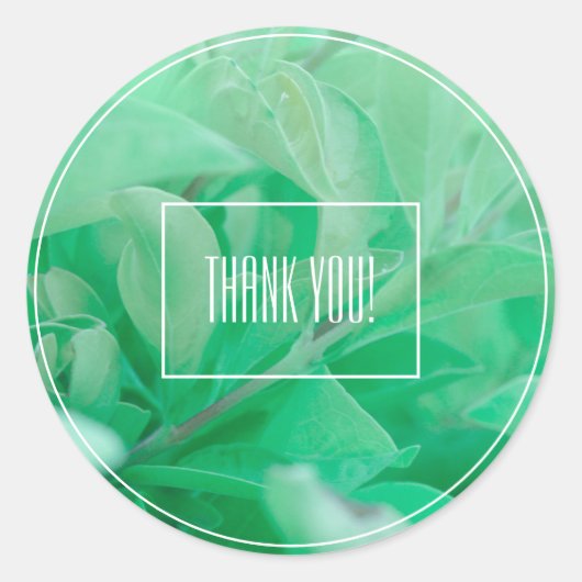 Bleekgroene bladplant Bedankt Sticker (Voorkant)