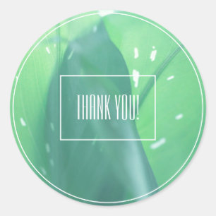 Bleekgroene bladplant Bedankt Sticker