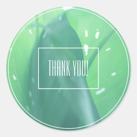 Bleekgroene bladplant Bedankt Sticker (Voorkant)