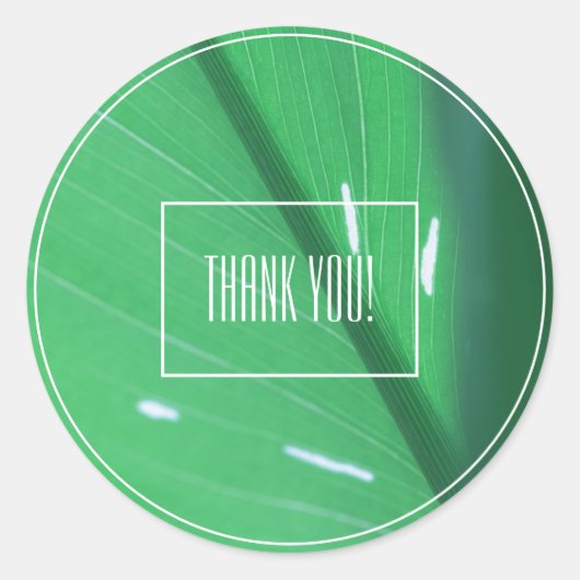 Bleekgroene bladplant Bedankt Sticker (Voorkant)