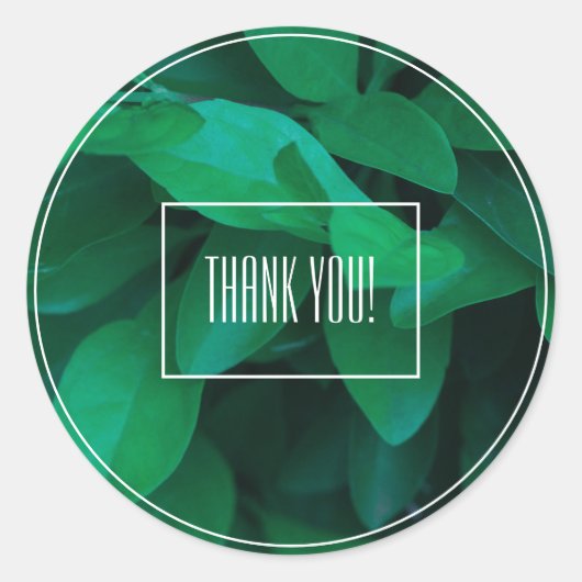 Bleekgroene bladplant Bedankt Sticker (Voorkant)