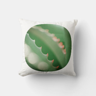 Bleekgroene vetplant Worp Kussen