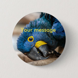 Bleekknoop blauw Hyacinth macaw parrot Ronde Button 5,7 Cm
