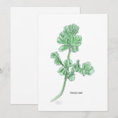 Bleer van de selderij kaart (Voorkant / Achterkant)