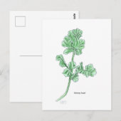 Bleer van selderij briefkaart (Voorkant / Achterkant)