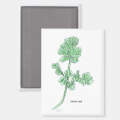 Bleerblad Magneet (Voorkant / Achterkant)