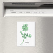 Bleerblad Magneet (Insitu (Vaatwasser))