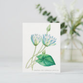 Bleke blauwe Lotus Flower Botanical Illustration Briefkaart (Staand voorkant)