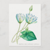 Bleke blauwe Lotus Flower Botanical Illustration Briefkaart (Voorkant)