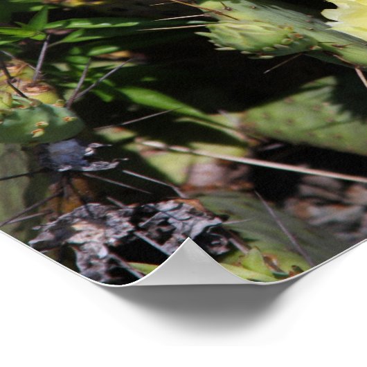 Bleke gele Cactus Blossom Poster (Hoek)