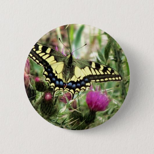 Bleke gele en blauwe vlinder ronde button 5,7 cm (Voorkant)