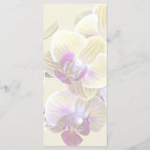 Bleke Gele en Magenta Phalaenopsis Orchideeën Menu (Achterkant)