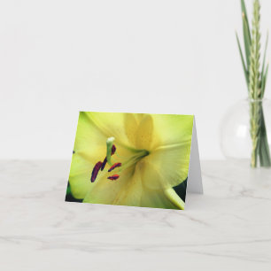 Bleke Gele Lelie Bloem Fotografie Notitiekaartje