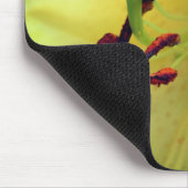 Bleke gele Lily loopt dicht Muismat (Hoek)