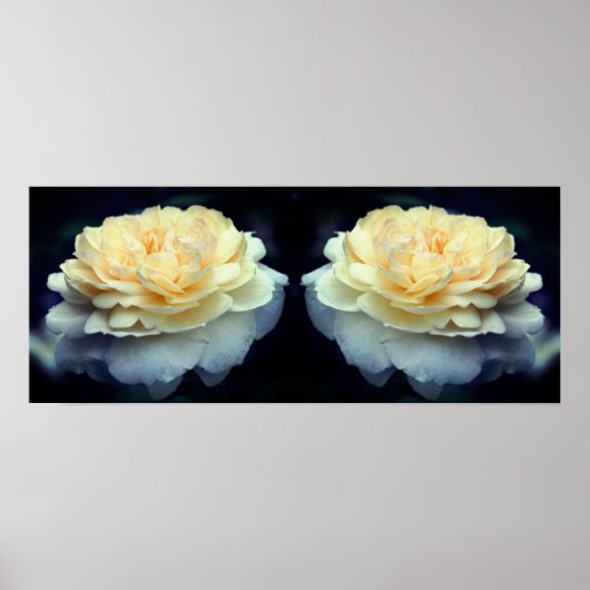 Bleke gele roos in bloesemspiegel Abstract Poster (Voorkant)