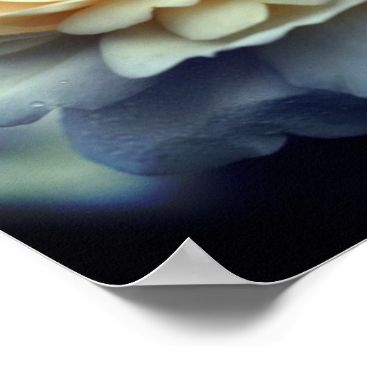 Bleke gele roos in bloesemspiegel Abstract Poster (Hoek)