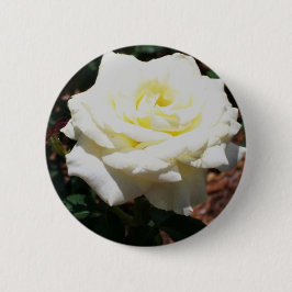 Bleke Gele Roos Ronde Button 5,7 Cm