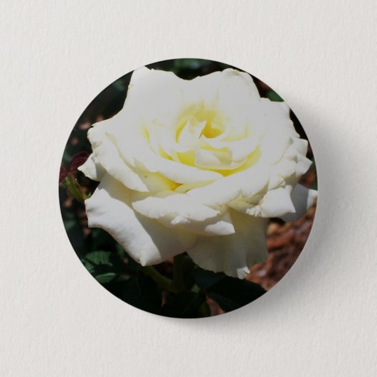 Bleke Gele Roos Ronde Button 5,7 Cm (Voorkant)