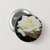 Bleke Gele Roos Ronde Button 5,7 Cm (Voorkant /achterkant)