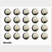 Bleke Gele Roos Ronde Sticker (Vel)