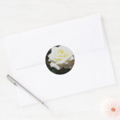 Bleke Gele Roos Ronde Sticker (Envelop)