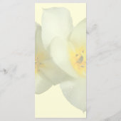 Bleke gele tulpen na het ringbandmenu menu (Achterkant)