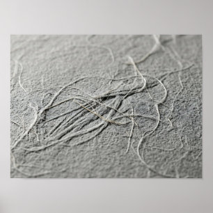 Bleke Grijze Verwarde Vezel Papier Textuur Poster