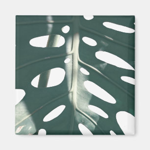 Bleke Groen Pastel Zwitsers Plant Magneet