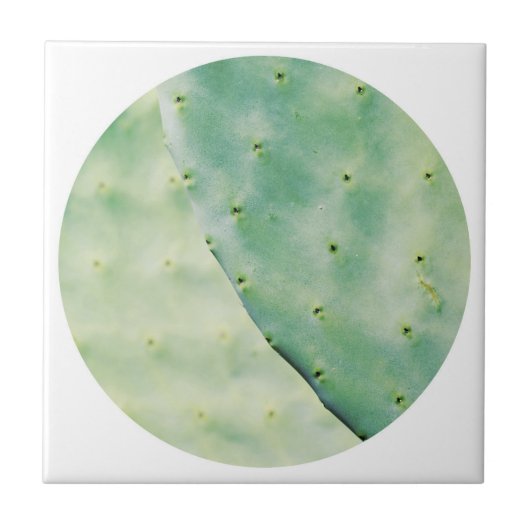 Bleke groene Cactus Fig Organic Feel Tegeltje (Voorkant)