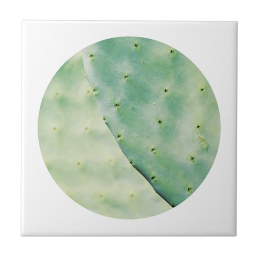 Bleke groene Cactus Fig Organic Feel Tegeltje (Voorkant)