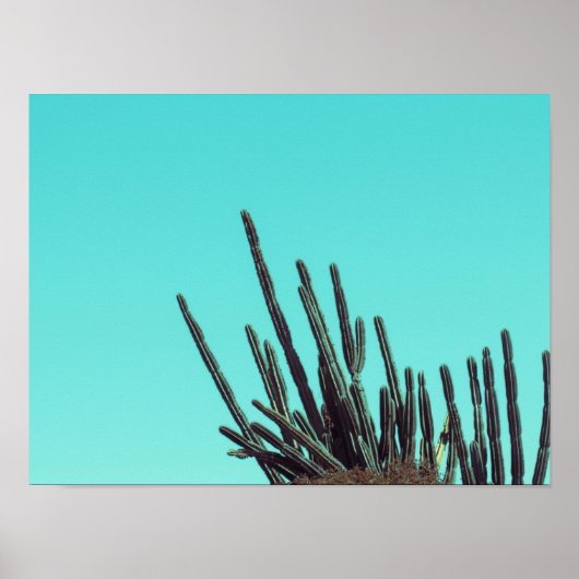 Bleke groene cactus Succulent Plant Minimalisme Poster (Voorkant)