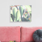 Bleke groene eucalyptusbomen canvas afdruk (Insitu (Woonkamer))