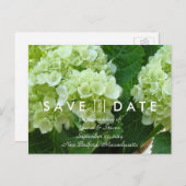 Bleke groene hortensia Save the Date Briefkaart (Voorkant / Achterkant)