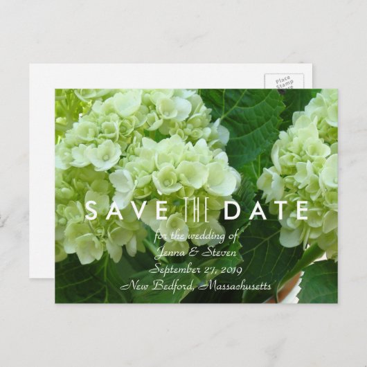 Bleke groene hortensia Save the Date Briefkaart (Voorkant / Achterkant)
