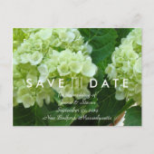 Bleke groene hortensia Save the Date Briefkaart (Voorkant)