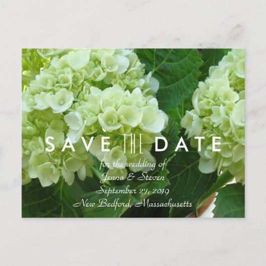 Bleke groene hortensia Save the Date Briefkaart (Voorkant)