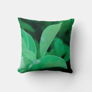 Bleke Groene Plantenbladeren Worp Kussenhoes Kusse Kussen