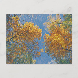 Bleke Herfst Briefkaart