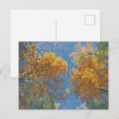 Bleke Herfst Briefkaart (Voorkant / Achterkant)