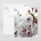 Bleke lente briefkaart (Voorkant / Achterkant)
