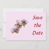 Bleke Magenta en Witte Orchideeën Bewaar de Datum Save The Date (Achterkant)