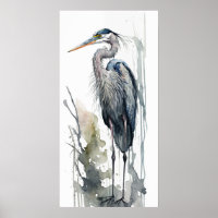 Bleke Majesteit Grote Blauwe Reiger Staand Moeras 