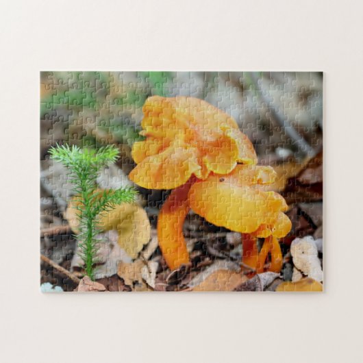 Bleke Oranje Natuur voor wilde paddenstoelen Legpuzzel (Horizontaal)