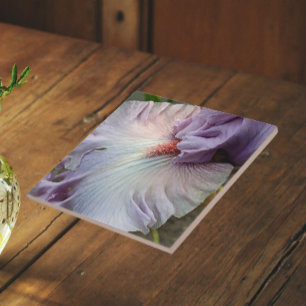 Bleke Paarse Baardiris Bloem Tegeltje