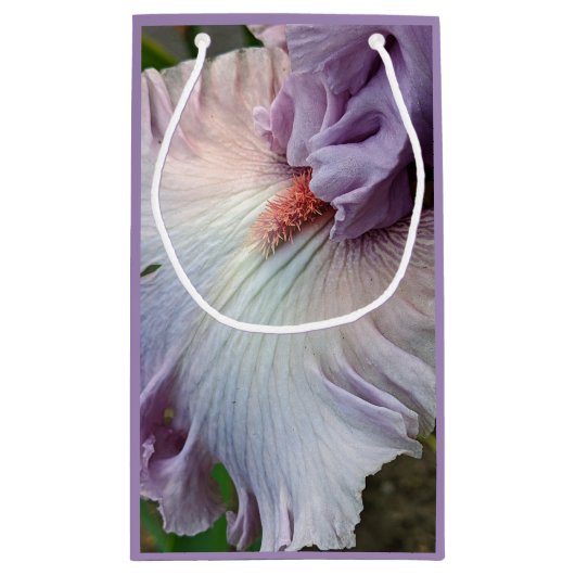 Bleke Paarse Bearded Iris Bloom Floral Klein Cadeauzakje (Achterkant)